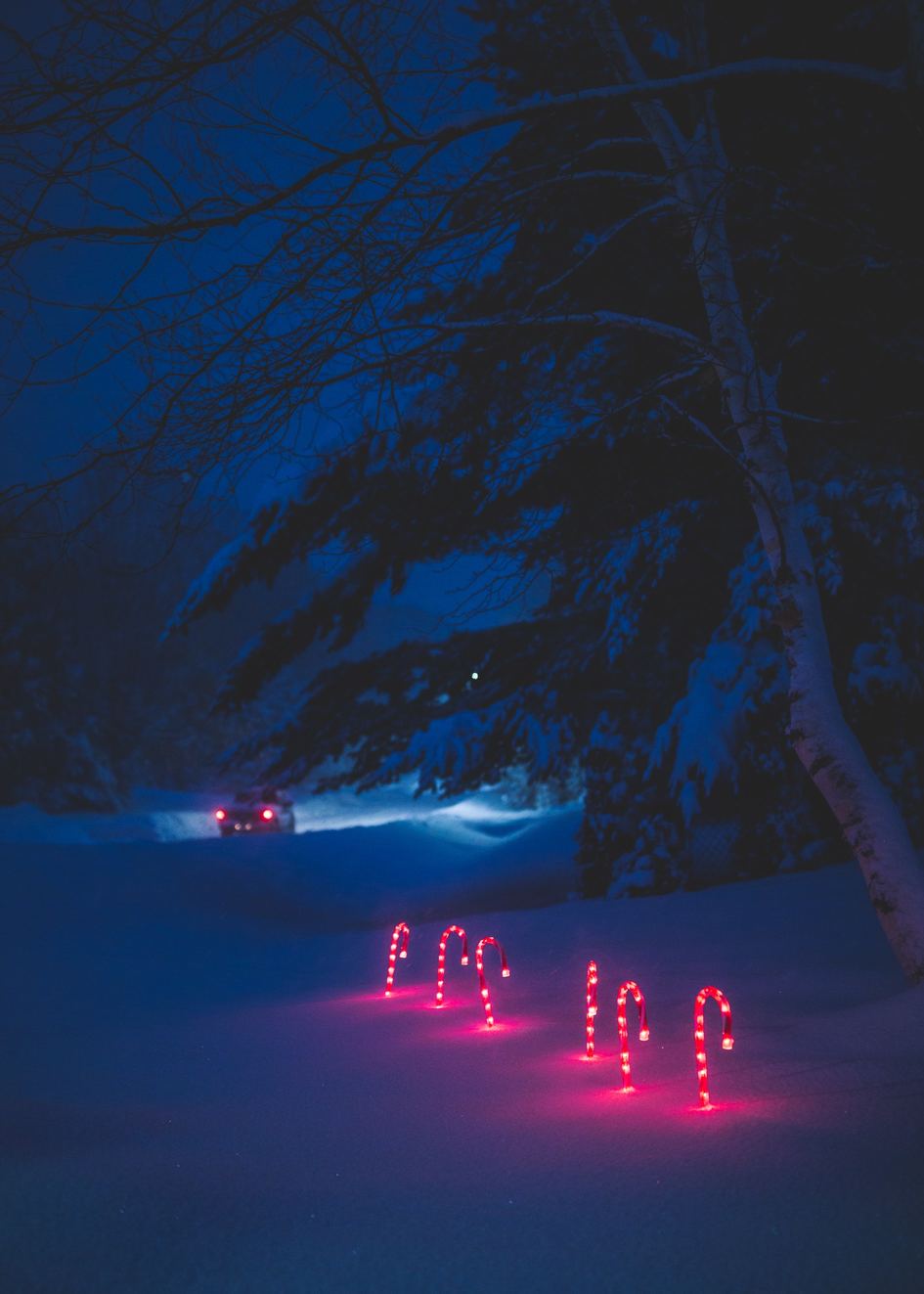 De noche, una carretera nevada en medio del bosque, en primer plano hay un árbol a la derecha. Todo se ve en tonos de azul menos las luces traseras de un coche, rojas en la distancia, y seis luces navideñas clavadas en el suelo en fila, con forma de bastones de caramelo rojos y blancos.